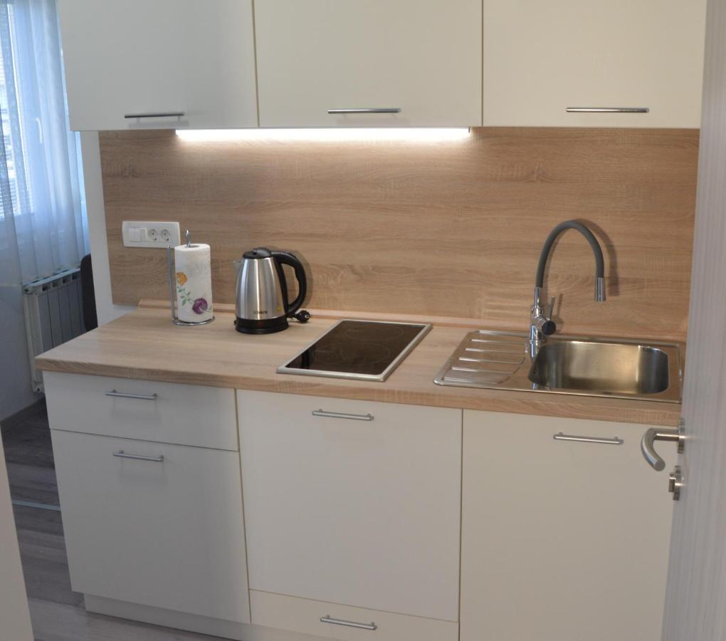 Apartma Vila Zigmund Cerknica Exteriör bild