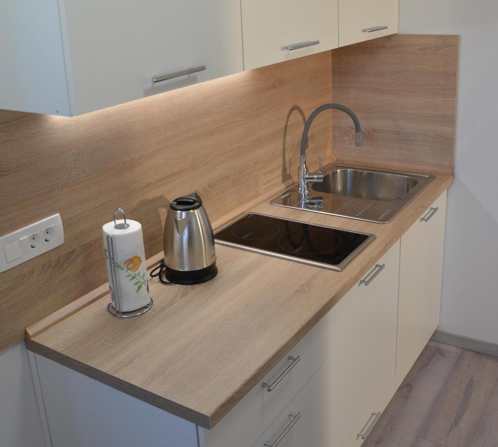 Apartma Vila Zigmund Cerknica Exteriör bild